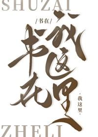 文野写书