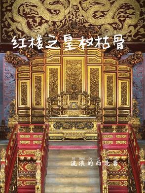 红楼之权夫