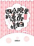 四合院的女主角是谁