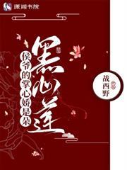 独揽什么什么成语