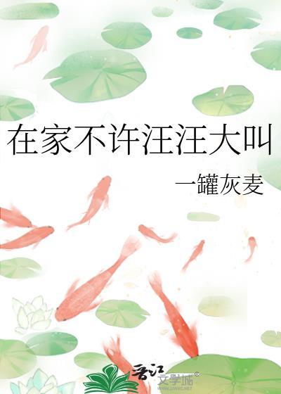 我家汪汪不听话怎么办