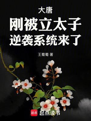 大唐刚被立太子逆袭系统来了