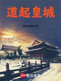 风起皇城电视剧