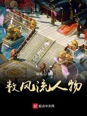 数风流人物2007电视剧