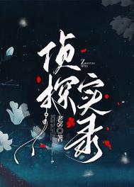 侦探记录