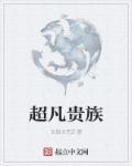 超凡贵族主角