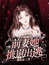 全球通缉总裁的特工前妻