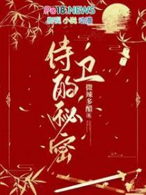 这个侍卫有秘密晋江