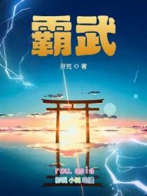 霸武txt