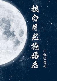 被白月光抢婚后 红口白牙txt