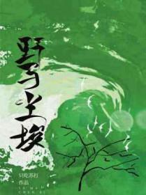 野马和尘埃的作用