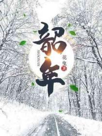 韶年华什么意思