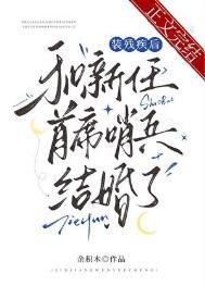 装残疾后和新任首席哨兵结婚了番外