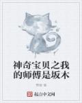 我神奇宝贝大师