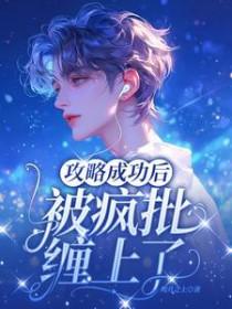 攻略成功后