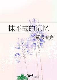 抹不去的回忆作文500字关于父母亲的爱