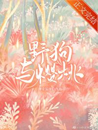 野狗与樱桃 神奇猫咪