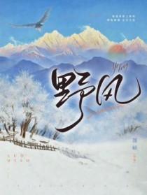 野风林忆莲歌词