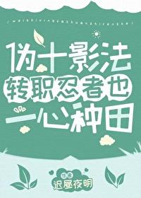 火影伪暗