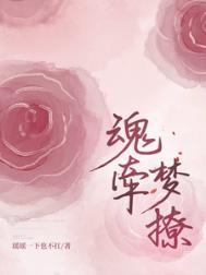 魂牵梦绕百科