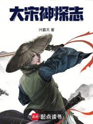大宋女神探txt