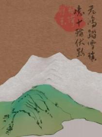 飞鸿踏雪真