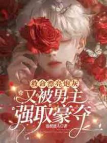 漂亮炮灰 攻受