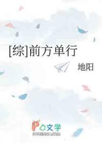 综前方单行宝书网
