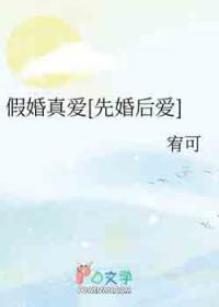 假爱真婚