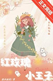 红玫瑰与小王子