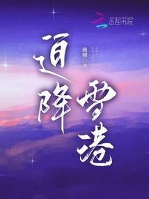 迫降的视频