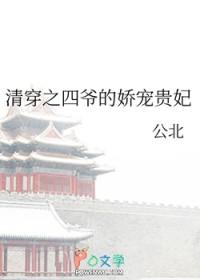 清穿四爷的娇宠