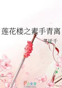 莲花楼吉祥纹电视剧