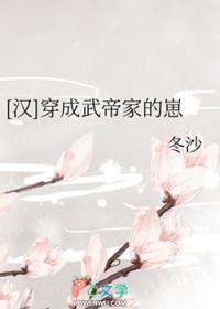 成了武帝的我又穿了回来番外
