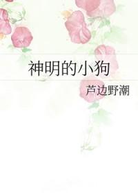 神明的小狗[单元