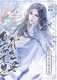 竟是皇上