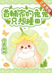 首辅家的小夫郎免费阅读全文