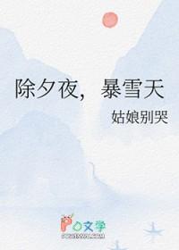 暴雪天txt百度
