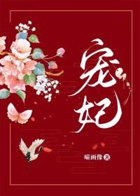 宠妃集