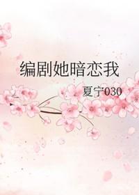 她暗恋的日记江辞璄
