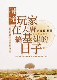 带着系统来大唐的