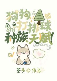 狗狗打气排球视频