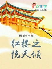 红楼梦之挽天倾免费阅读