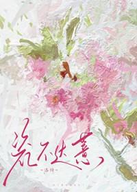 瓷不达薏洛绮免费阅读