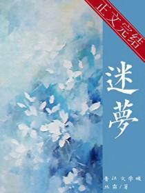 迷梦大冒险攻略