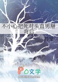不小心把死对头直男掰弯后 番外