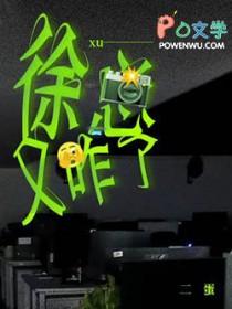 徐总又咋了谁是攻全文免费阅读
