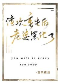 重生渣攻变妻奴