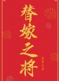 替嫁将军和谐部分