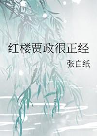 红楼之贾政的跑偏人生